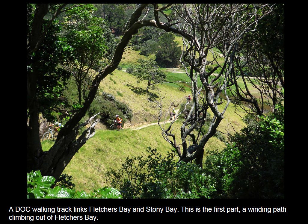 coro201515.jpg (319069 bytes)